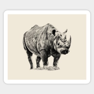 Rhinoceros Sticker